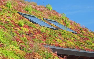 Branbridges living roof systems